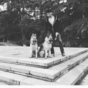 Remi Jurkhadze's photo