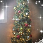 Amber Litko's photo