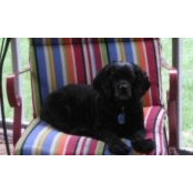 Melanie Keeling's photo