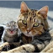 Stephanie Davis's photo