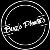 Bugs Photos's photo