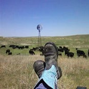 Foto von Dawn Johnson Beers
