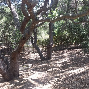 Westlake Village Property