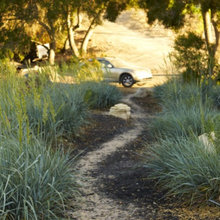 Gail's garden picks