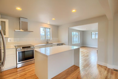 Inspiration for a 1950s kitchen remodel in Denver