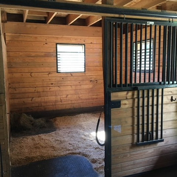 Kirsten, NH