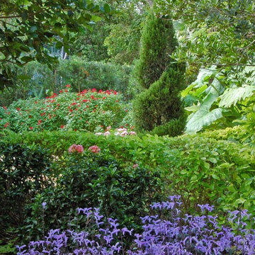 Mediterranean Landscape Design Miami