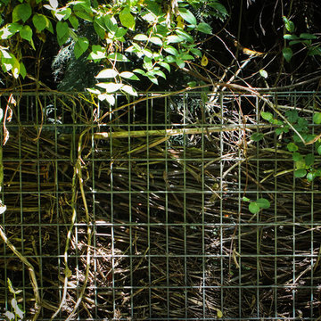 A Forest Oasis on Whidbey Island