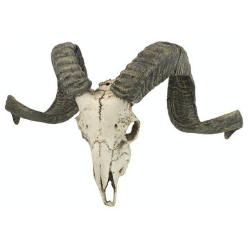 Corsican Resin Ram Skull and Horns Wall Trophy