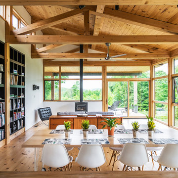 Tree Top Modern