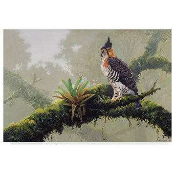 Harro Maass 'Ornate Hawk Eagle' Canvas Art, 19"x12"
