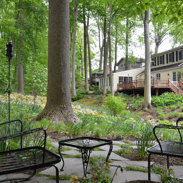 Woodland Garden
