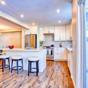 Mt Pleasant Full Home Renovation