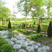 yard