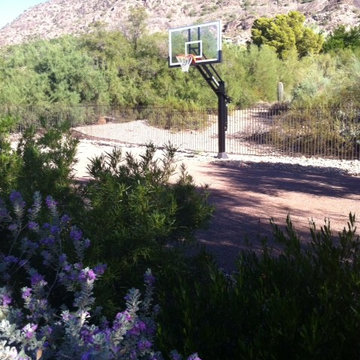 Maja W's Pro Dunk Platinum Basketball System on a 38x25 in Paradise Valley, AZ