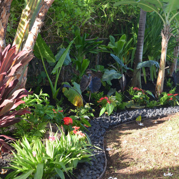Tropical Oasis