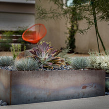 Las Vegas Yard