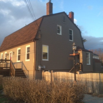 Vinyl Siding Painting