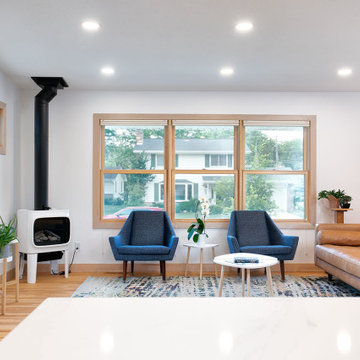 Project 3680-1 Minneapolis Scandinavia Modern Whole House Renovation