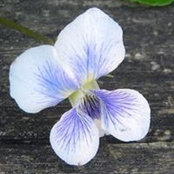 Christie Kemp-Hampton's photo