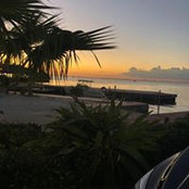 Laurie Ellis's photo