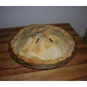 Susan Bryant's photo