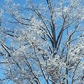 Dawn Olthouse's photo