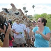 Mitzi Westerhoff's photo