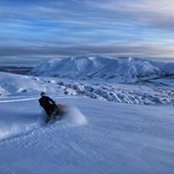 Paul Miranda's photo