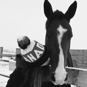 Shannon Doyle's photo