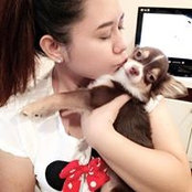 Foto von Little Twinkle