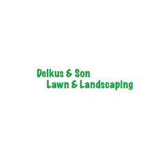 Delkus & Son Lawn & Landscaping