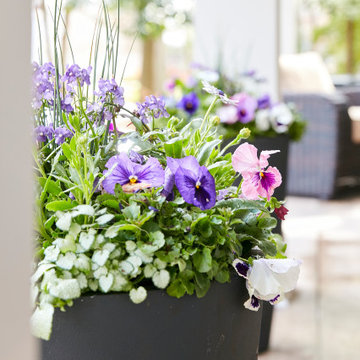 Early Spring Containers