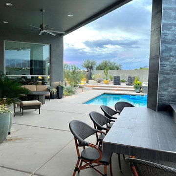 Desert Modern