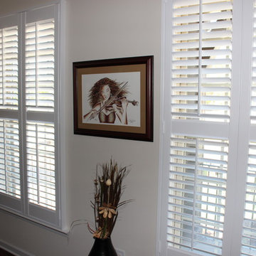 Patio door shutters to match living areas