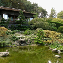 pond side