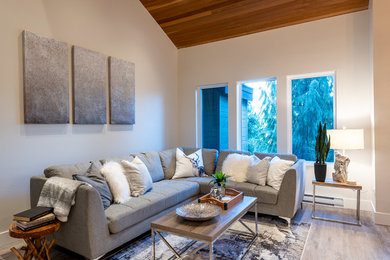 Example of a minimalist living room design in Other