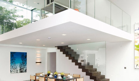 Houzz Tour: A Luxurious Contemporary Glass Home in Leafy North London