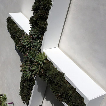 Specialty Gardens