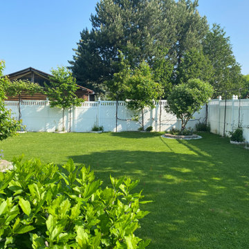 Vinyl Fence