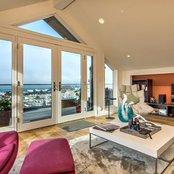 Pacific Heights Penthouse and Exterior Remodel