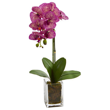 24" Orchid Phalaenopsis Artificial Arrangement in Vase, Pink
