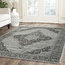Charlotte Vintage-Inspired Area Rug, 120x170 cm