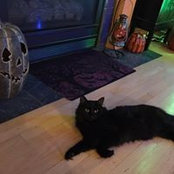 Erin Stern's photo