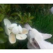 Janice Pye's photo