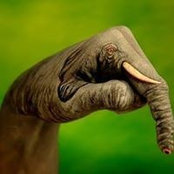Anne Allen's photo