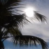 Carol Wilson-Cappuccio's photo