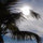 webuser_8681883