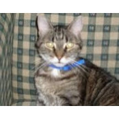 Marcia Biber's photo