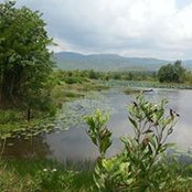 Foto de San Sok
